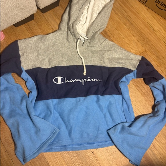 Cropped Champion Bell Sleeve Slit Hoodie - Picture 1 of 4